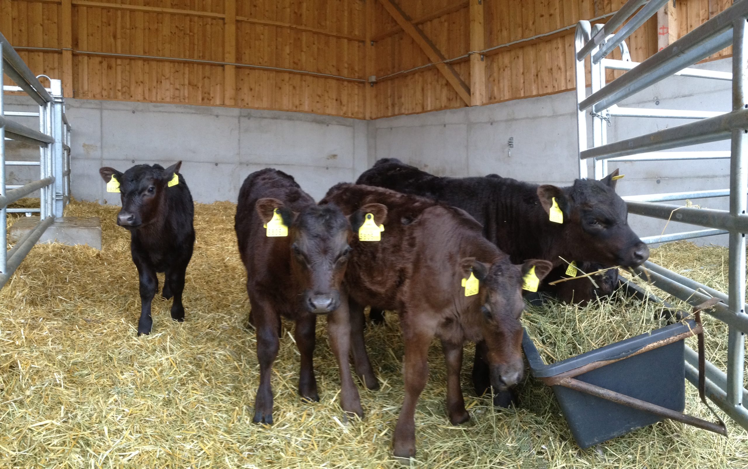 Verkauf im Februar 2019