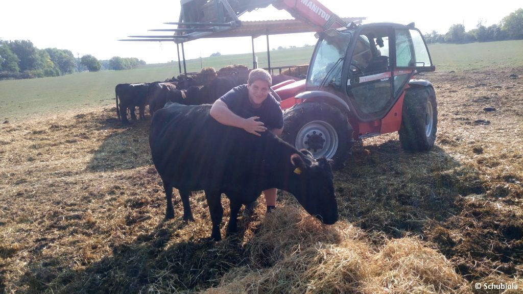 Neues von unseren Rindern…