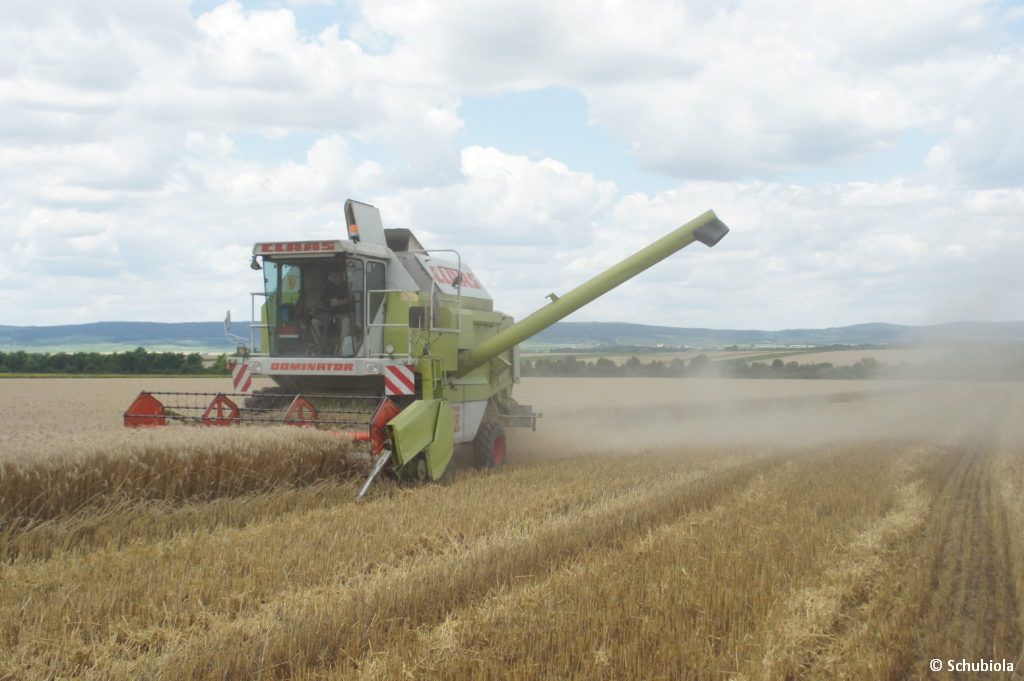Getreideernte 2017 bei Schubiola