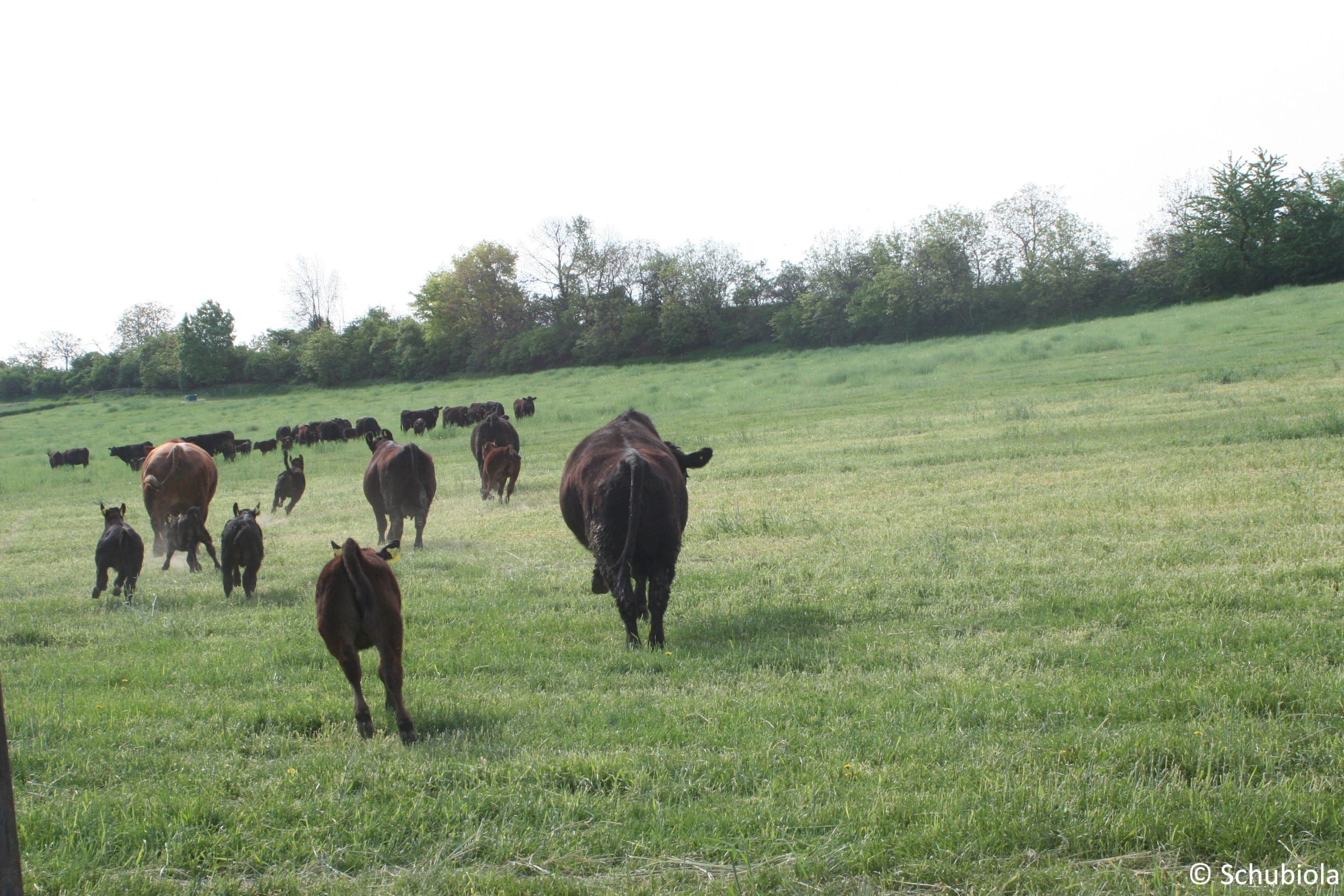 Verkauf im November 2018