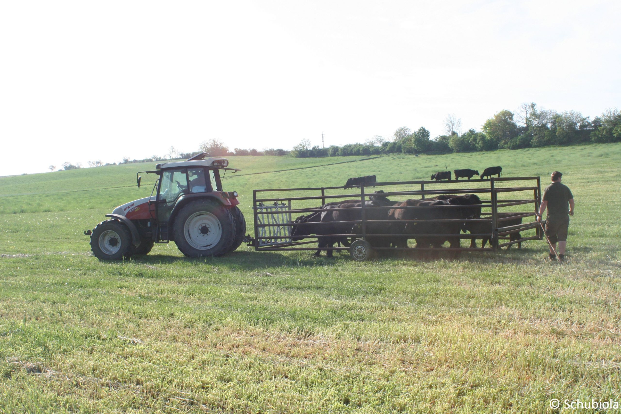 Schubiola-Verkauf im Mai 2019